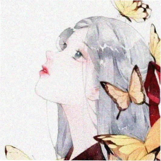 观众阿野的头像